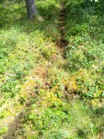 IMG_20160701_120402.jpg (113.81 КБ) 10992 просмотра IMG_20160701_120402.jpg