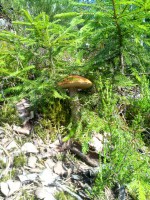 IMG_20160701_095744.jpg (105.19 КБ) 12044 просмотра IMG_20160701_095744.jpg