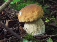 белый.jpg (556.23 КБ) 12467 просмотров белый.jpg