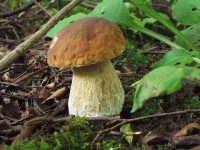 3days.jpg (655.91 КБ) 12459 просмотров 3days.jpg