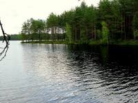 IMG_0368_1.JPG