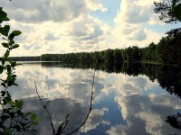 IMG_0354_1.JPG