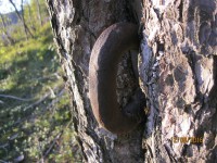 IMG_1494 - копия.JPG (674.53 КБ) 16803 просмотра IMG_1494 - копия.JPG