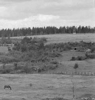 140565.jpg (502.95 КБ) 24128 просмотров 140565.jpg