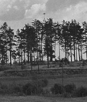 140557.jpg (127.17 КБ) 24078 просмотров 140557.jpg