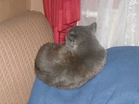 P1290161.JPG (1.15 МБ) 14594 просмотра P1290161.JPG