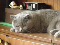 P6151780.JPG (859.43 КБ) 14552 просмотра P6151780.JPG