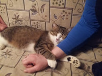 20160102_200058.jpg (191.4 КБ) 17345 просмотров 20160102_200058.jpg