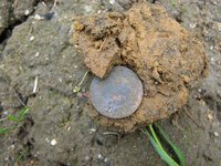 P6200290.JPG (343.09 КБ) 14683 просмотра P6200290.JPG