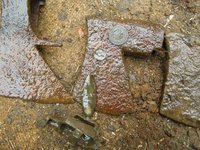 P6200292.JPG (469.75 КБ) 14683 просмотра P6200292.JPG