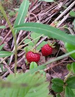 20170723_134430~2.jpg