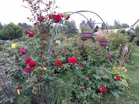 20150808_190552.jpg (461.37 КБ) 17376 просмотров 20150808_190552.jpg