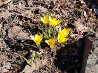 003.jpg (279.57 КБ) 21147 просмотров 003.jpg