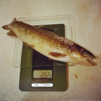 osxWDx7X4uY.jpg (77.53 КБ) 22704 просмотра osxWDx7X4uY.jpg