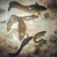 YeCZf_U5Ddk.jpg (80.21 КБ) 22704 просмотра YeCZf_U5Ddk.jpg