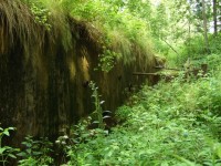 DSCF82031.jpg