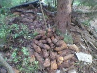 SP_A0139.jpg (85.08 КБ) 16688 просмотров SP_A0139.jpg