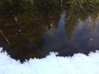 IMG-20190406-WA0000.jpg (85.08 КБ) 22074 просмотра IMG-20190406-WA0000.jpg