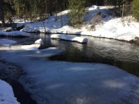 IMG-20190406-WA0001.jpg (139.7 КБ) 21592 просмотра IMG-20190406-WA0001.jpg