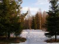 P4060561.JPG (272.63 КБ) 21791 просмотр P4060561.JPG