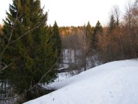 P4060567.JPG (225.48 КБ) 21995 просмотров P4060567.JPG