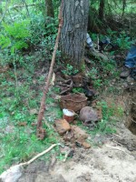 IFWyveMV_bM.jpg (291.52 КБ) 16458 просмотров IFWyveMV_bM.jpg