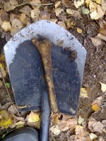 Фото1133.jpg (361.21 КБ) 16429 просмотров Фото1133.jpg