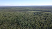 DJI_0905.JPG