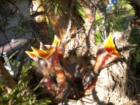 DSCN3348.JPG (279.74 КБ) 7087 просмотров DSCN3348.JPG