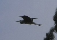 S1480017.MP4_snapshot_00.05.440.jpg (10.57 КБ) 18607 просмотров S1480017.MP4_snapshot_00.05.440.jpg