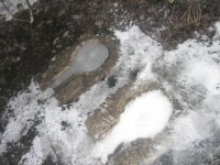 IMG_4181.JPG