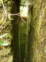 DSCF86761.jpg