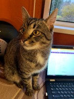 C5E7F417-4AE1-432A-8087-B48C5E685A8C.jpeg (342.97 КБ) 4568 просмотров C5E7F417-4AE1-432A-8087-B48C5E685A8C.jpeg