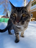 ED63356A-0611-477C-AE65-786E48FDD7C5.jpeg (298.92 КБ) 4573 просмотра ED63356A-0611-477C-AE65-786E48FDD7C5.jpeg