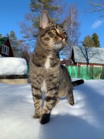 82279915-58D3-47F1-9989-121B5DD6EBE6.jpeg (359.59 КБ) 4767 просмотров 82279915-58D3-47F1-9989-121B5DD6EBE6.jpeg