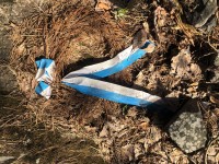 46CB9B58-DE19-499F-9651-646BD3AC71B6.jpeg (847.63 КБ) 4268 просмотров 46CB9B58-DE19-499F-9651-646BD3AC71B6.jpeg