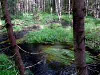 IMG_2189.JPG