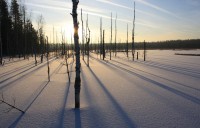 IMG_3706.JPG