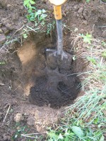 P5220031.JPG (369.7 КБ) 15358 просмотров P5220031.JPG