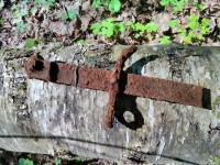 IMG_20210604_104257.jpg (386.8 КБ) 14327 просмотров IMG_20210604_104257.jpg