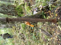 P9230203.JPG (424.27 КБ) 11539 просмотров P9230203.JPG