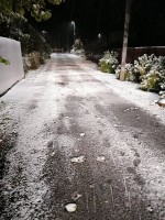 IMG_20231008_053035.jpg (414.97 КБ) 21516 просмотров IMG_20231008_053035.jpg