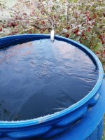 IMG_20231010_081518.jpg (264.32 КБ) 21221 просмотр IMG_20231010_081518.jpg