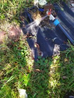 Untitled.jpg (403.17 КБ) 21096 просмотров Untitled.jpg