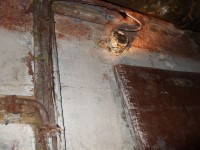 DSCF02101.jpg