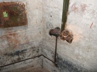DSCF01931.jpg