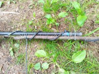 IMG_20240609_155909.jpg