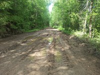 IMG_20240612_134946.jpg