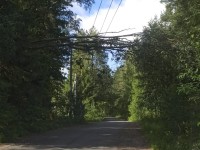 IMG_20240702_082249.jpg (275.68 КБ) 15207 просмотров IMG_20240702_082249.jpg