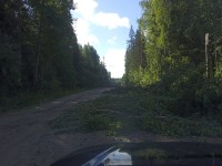 IMG_20240702_082323.jpg (243.14 КБ) 15207 просмотров IMG_20240702_082323.jpg